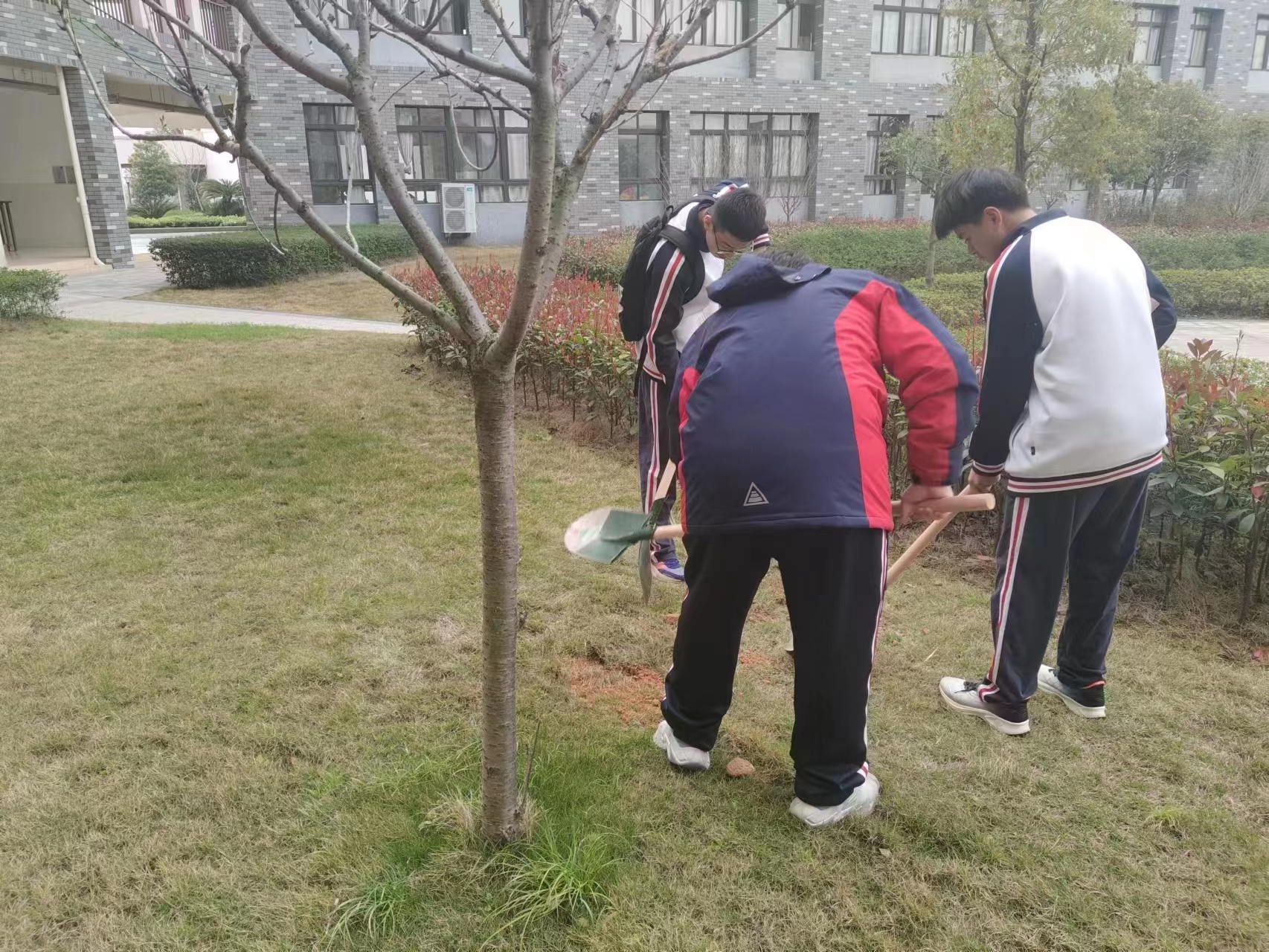 微信图片_20230317163204.jpg
