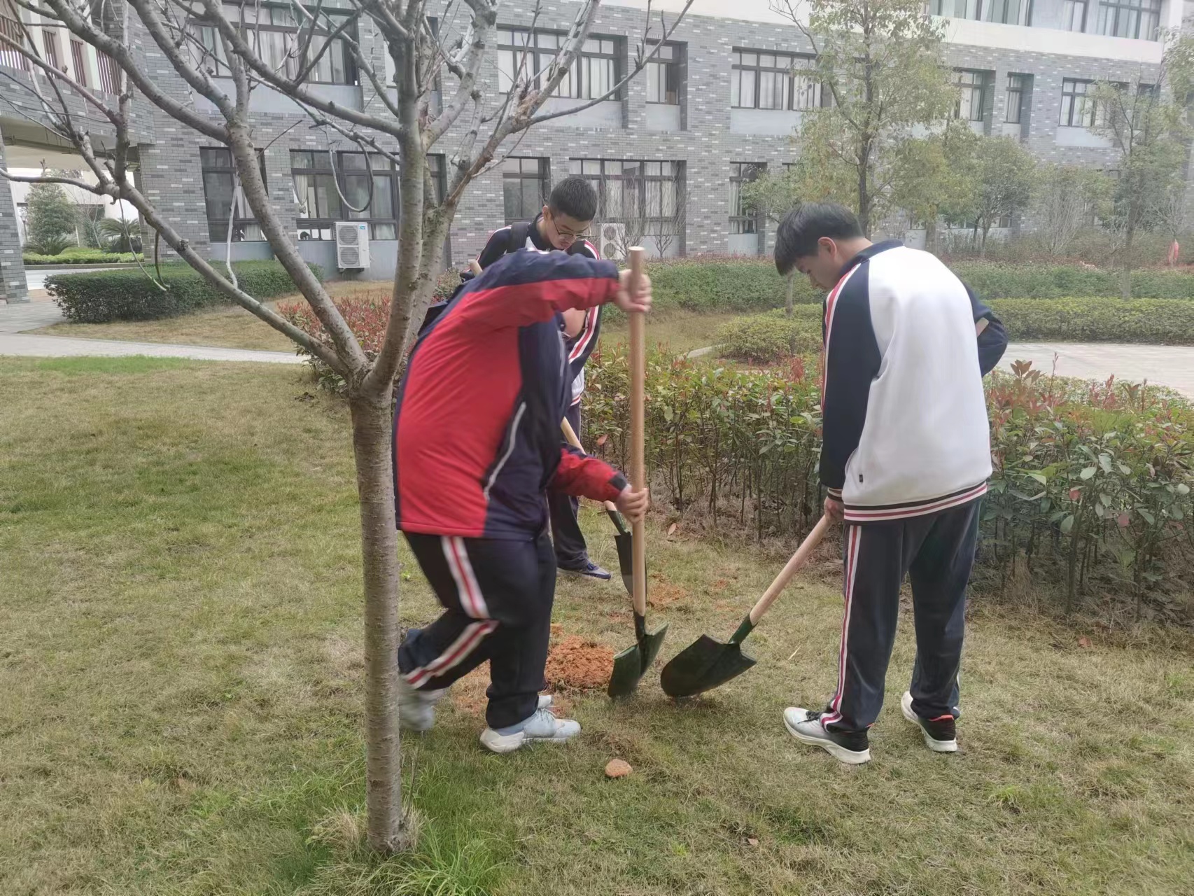 微信图片_20230317163207.jpg